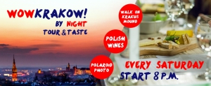 Wow Krakow! By  night tour&taste