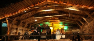 Christmas & New Year