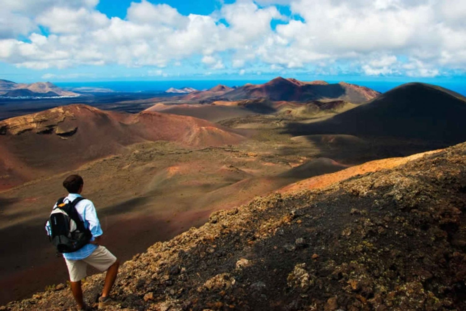 Arrecife/Playa Blanca: Excursión de un día a la zona del Parque Nacional de Timanfaya