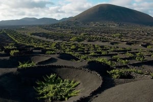 Arrecife/Playa Blanca: Timanfaya National Park Area Day Tour