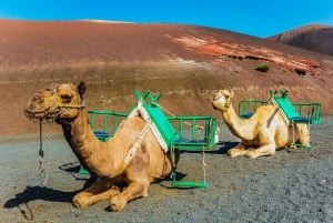 Arrecife: Timanfaya y Laguna Verde para cruceristas