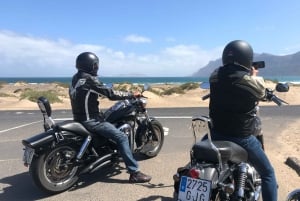 Lanzarote: geführte Motorradtour auf einer Harley-Davidson