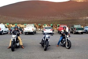 Lanzarote: geführte Motorradtour auf einer Harley-Davidson