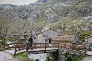 Bulnes: Excursion with funicular and Cabrales cheese cave in Picos de Europa.