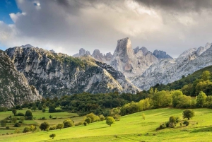 Bulnes: Excursion with funicular and Cabrales cheese cave in Picos de Europa.