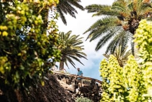 Cesar Manriques Lanzarote-tur med kaktushave og LagOmar