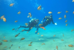 Lanzarote: Dykkerdåb i Puerto de Carmen 2 dyk