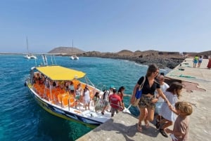 Corralejo: Isla de Lobos Bilet w obie strony z wstępem do parku