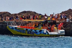 Corralejo: Isla de Lobos Bilet w obie strony z wstępem do parku