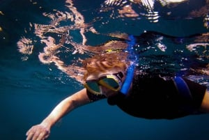 Costa Teguise: Guided 2-hour Snorkeling Tour for all levels
