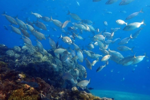 Costa Teguise: Snorkeltur med instruktör och utrustning