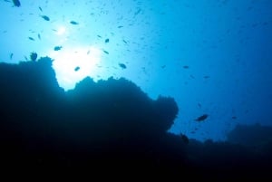 Tauchen auf Lanzarote - 2 geführte Tauchgänge für zertifizierte Taucher