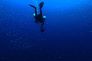 Tauchen auf Lanzarote - 2 geführte Tauchgänge für zertifizierte Taucher