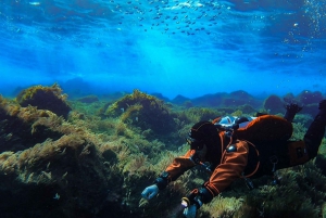 Plongée à Lanzarote - 2 plongées guidées pour les plongeurs certifiés