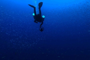 Plongée à Lanzarote - 2 plongées guidées pour les plongeurs certifiés