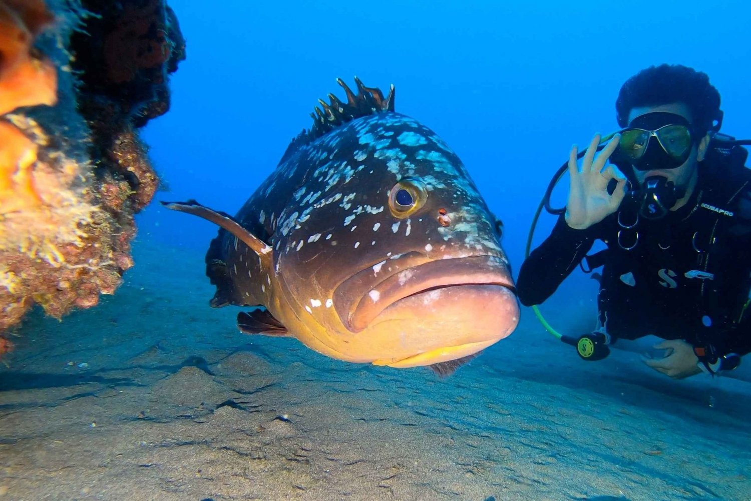 Diving baptism with 1 dive.