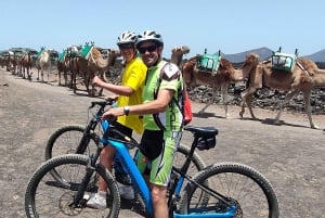 Tour epico in e-bike: da nord a sud, scopri Lanzarote come mai prima d'ora.