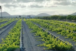 Tour epico in e-bike: da nord a sud, scopri Lanzarote come mai prima d'ora.