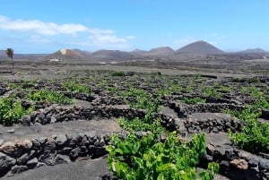 Tour epico in e-bike: da nord a sud, scopri Lanzarote come mai prima d'ora.