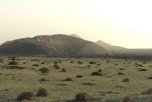 Epic E-Bike Tour: From North to South, Discover Lanzarote Like Never Before