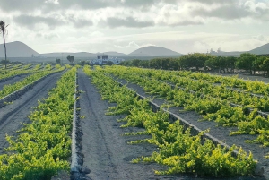 Epic E-Bike Tour: From North to South, Discover Lanzarote Like Never Before