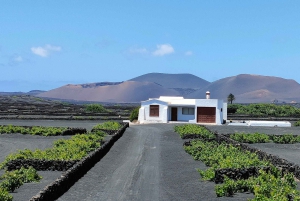 Epic E-Bike Tour: From North to South, Discover Lanzarote Like Never Before