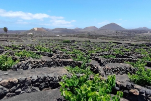 Epic E-Bike Tour: From North to South, Discover Lanzarote Like Never Before