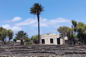 Epic E-Bike Tour: From North to South, Discover Lanzarote Like Never Before