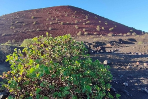 Epic E-Bike Tour: From North to South, Discover Lanzarote Like Never Before