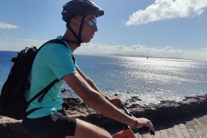 Epic E-Bike Tour: From North to South, Discover Lanzarote Like Never Before