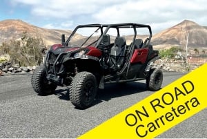 Family buggy - 4 seats, on road tour
