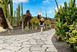 Seguendo le orme di César Manrique: Quattro centri d'arte