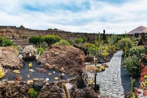 Seguendo le orme di César Manrique: Quattro centri d'arte