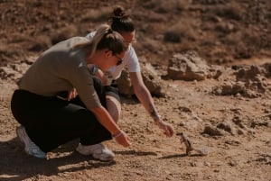 Fra Corralejo: Oplev det nordlige Fuerteventura - lille gruppe (max 6 personer)