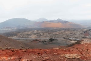 Da Fuerteventura: Gita a Lanzarote con degustazione di vini e pranzo