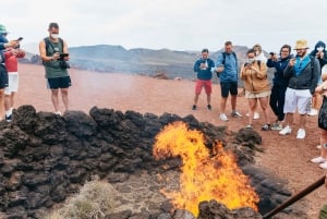 Da Fuerteventura: Gita a Lanzarote con degustazione di vini e pranzo