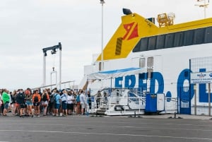 Da Fuerteventura: Gita a Lanzarote con degustazione di vini e pranzo