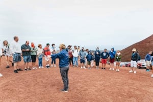 Da Fuerteventura: Gita a Lanzarote con degustazione di vini e pranzo