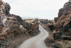 Da Fuerteventura: Gita a Lanzarote con degustazione di vini e pranzo