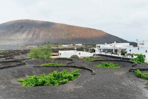 Da Fuerteventura: Gita a Lanzarote con degustazione di vini e pranzo