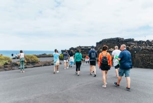 Da Fuerteventura: Gita a Lanzarote con degustazione di vini e pranzo