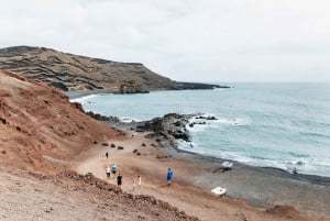 Da Fuerteventura: Gita a Lanzarote con degustazione di vini e pranzo