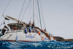 Von Fuerteventura: Minikreuzfahrt von Playa Blanca nach Papagayo