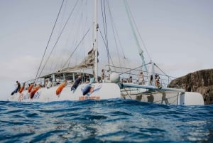 Von Fuerteventura: Minikreuzfahrt von Playa Blanca nach Papagayo