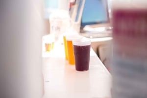 Desde Fuerteventura: minicrucero de Playa Blanca a Papagayo