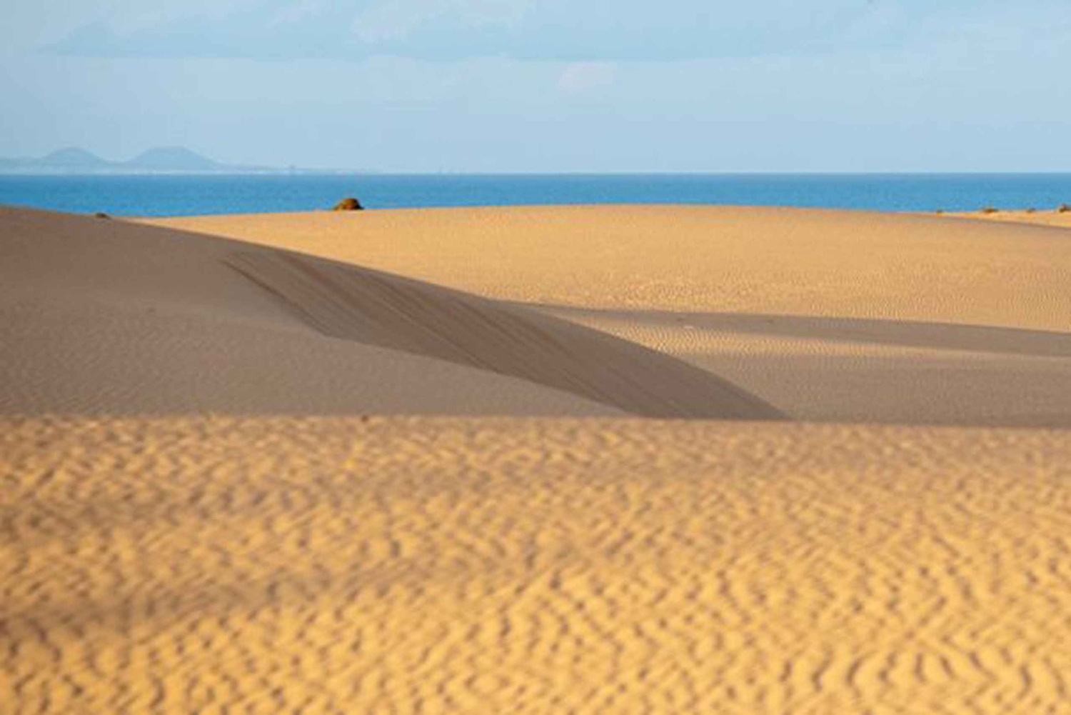 Da Lanzarote: Safari in buggy a Corralejo