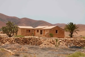 Von Lanzarote aus: Fuerteventura Tagestour