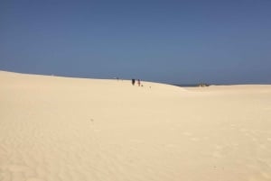 Von Lanzarote aus: Fuerteventura Tagestour