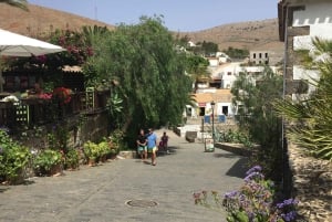 Von Lanzarote aus: Fuerteventura Tagestour