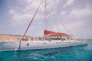 Vanuit Lanzarote: Dagtrip zeilen rond La Graciosa